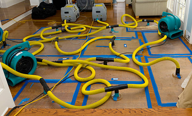 Professional Burst Pipe Water Damage technician working in Winthrop, IA